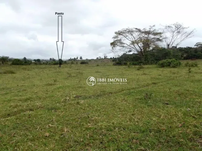 Fazenda Rural à venda, Centro, Belmonte - FA0050.