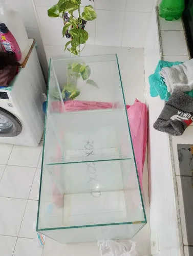 Aquario