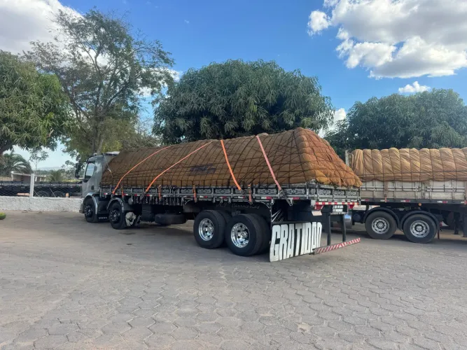 VM 260 2011 bitruck