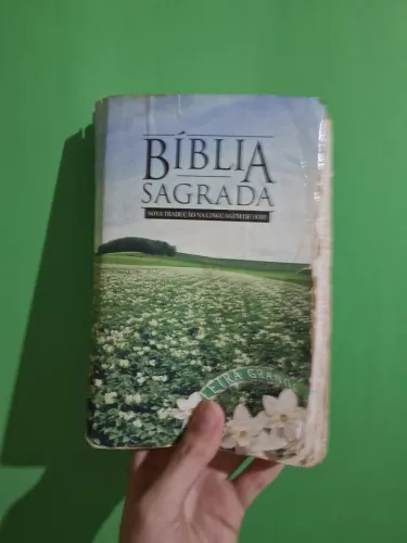 Bíblia Sagrada Letra Grande (antiga e usada)