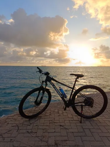 Bike aro 29
