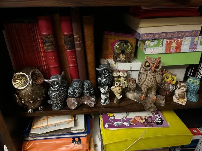 Coleção 12 Corujas e corujinhas miniaturas p/ colecionador de 400 por 150 tudo