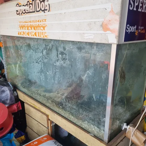 Vendo Aguario 500 litros