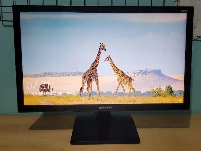 Monitor Samsung 21,5" Full HD LED - Modelo LS22E310HYMZD