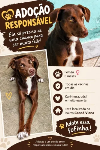 Doação responsável
