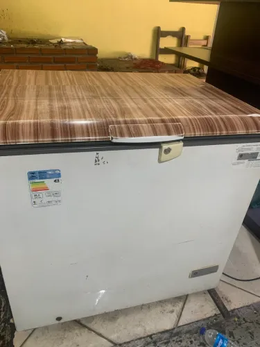 Freezer 309L consul