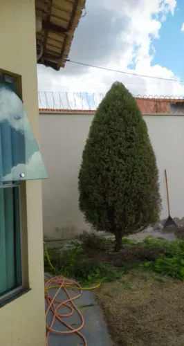 Jardinagem/paisagismos