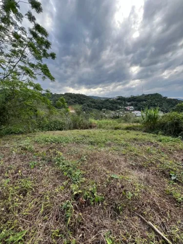Terreno financiável em Santo Amaro, 375 m2.