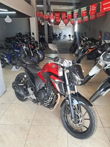 FZ 25 2023/24