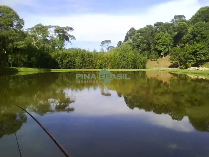 Chácara para Venda em Colombo, São Gabriel