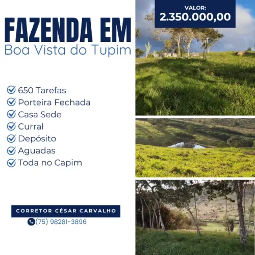 FAZENDA EM BOA VISTA DO TUPIM - 750 TAREFAS