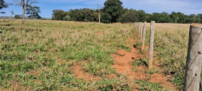 1 alqueire  e meio Pirenópolis terra de cultivo só Região de Caxambú R$ 650 mil 