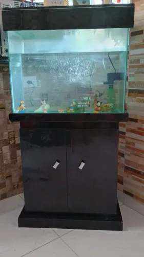 Aquário de Vidro Decoração