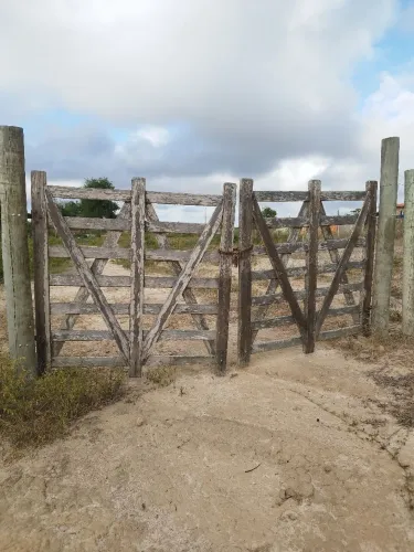 Um Tarefa na Izabel por 45 mil