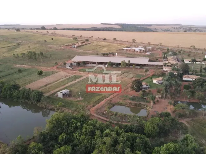 Fazenda 14 Alqueires (67,76 Hectares) Orizona - GO