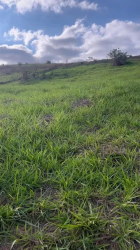 Chácara 3 mil m² - Troco por carro ou caminhão