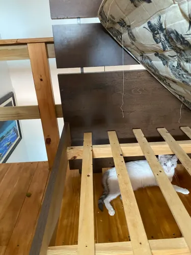 cama de solteirão e colchão 