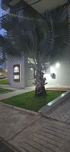 Alugo excelente apartamento localizado na Rua Guaçuí, em São Mateus
