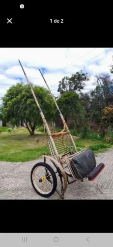 Charrete aro 21