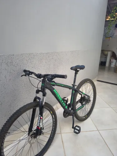 Baik Rossetti.s 29