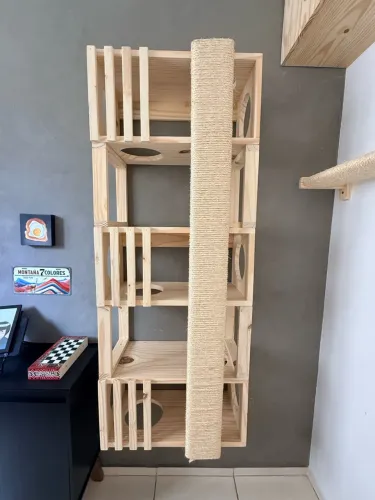 Nicho playground para gato de madeira de eucalipto