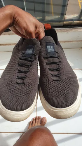 Tenis