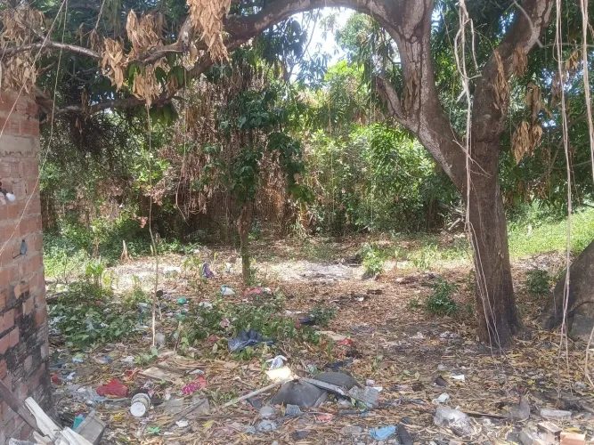 Casa com terreno