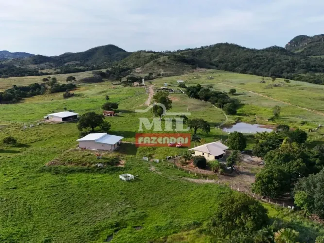 Fazenda 100 Alqueires (484 hectares) Goiás - GO