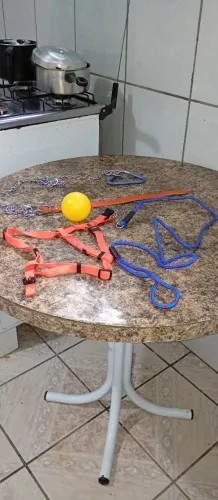 Acessórios para pets