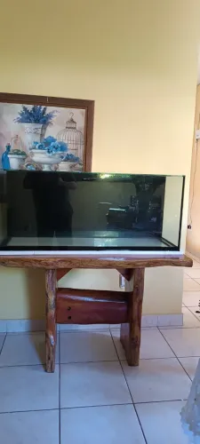Aquário Novo 