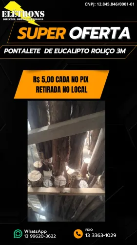 Pontalete  de eucalipto roliço 3m