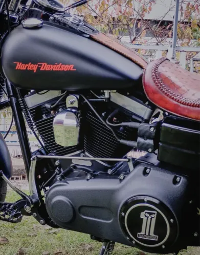 Harley Davidson Fat Bob 2015 - Único dono 