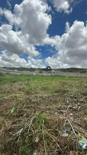 lote murado com agua e luz em condominio  400M