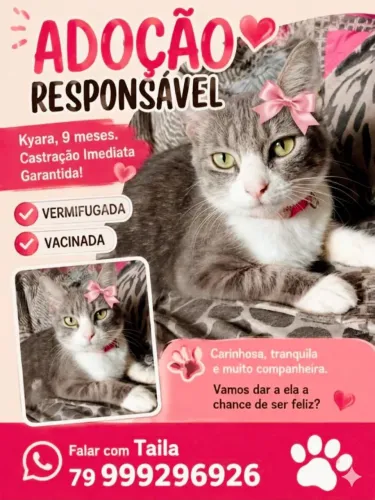 PRINCESAS MAYA E KYARA