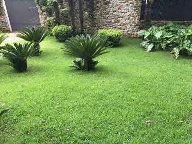 Seu Gramado Perfeito Direto do Produtor! 