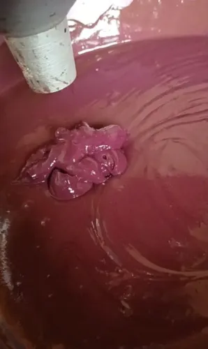 Poupa de açaí