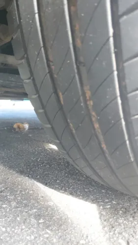 Pneus Michelin 215.55.R17