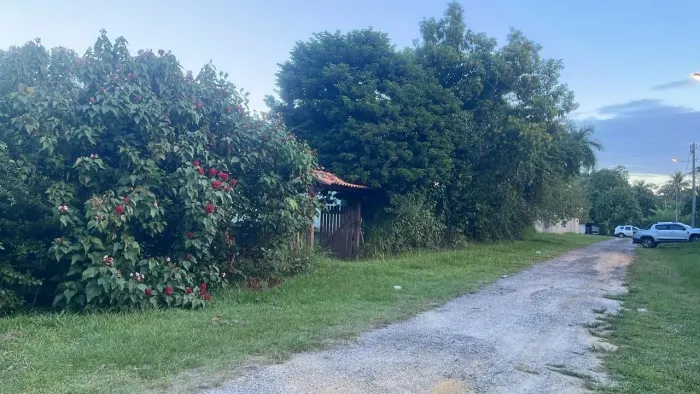 Terreno amplo, com casa construída e várias árvores frutíferas