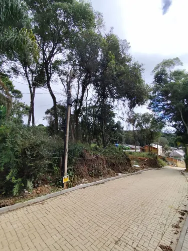 Vendo excelente área no ganchinho com 1540 metros quadrados