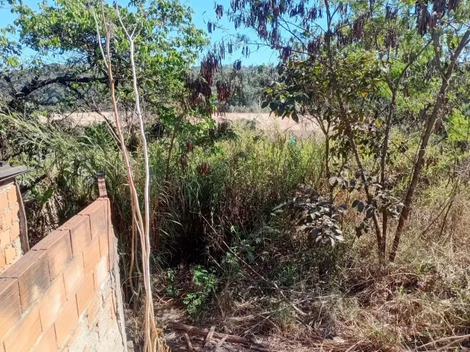 Meio lote a venda