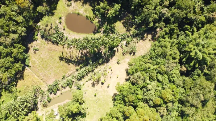 Chácara (pequeno sítio) com 22.344m² na Sesmaria em Morretes/PR -DOCUMENTADA