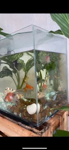Aquário 30L