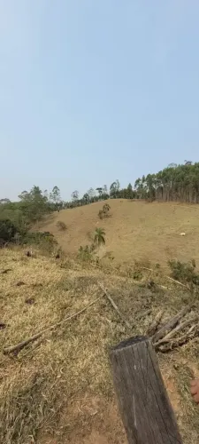 sitio 4 alqueires com laguinho em Piracaia SP