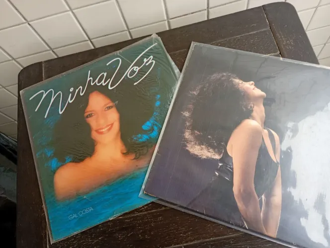 2 LPs vinil Gal Costa