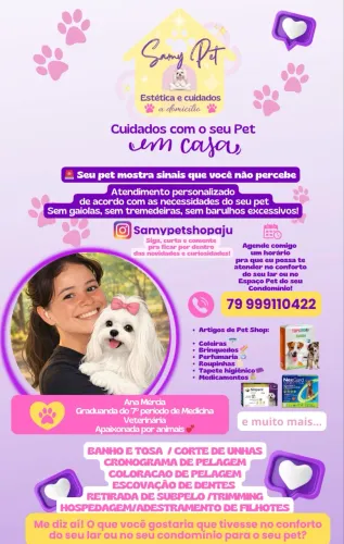 Banho e tosa a domicílio 