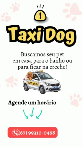Táxi Dog