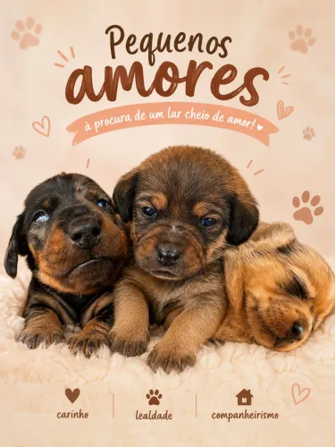 Venda responsável - Filhotes de Dachshund (salsicha)