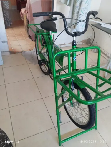 Bicicleta Cargueira Carga Pesada Food Bike Multiuso Verde