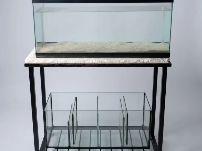 Aquário 160 litros+sump+ móvel