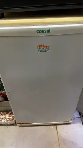 Freezer 350,00